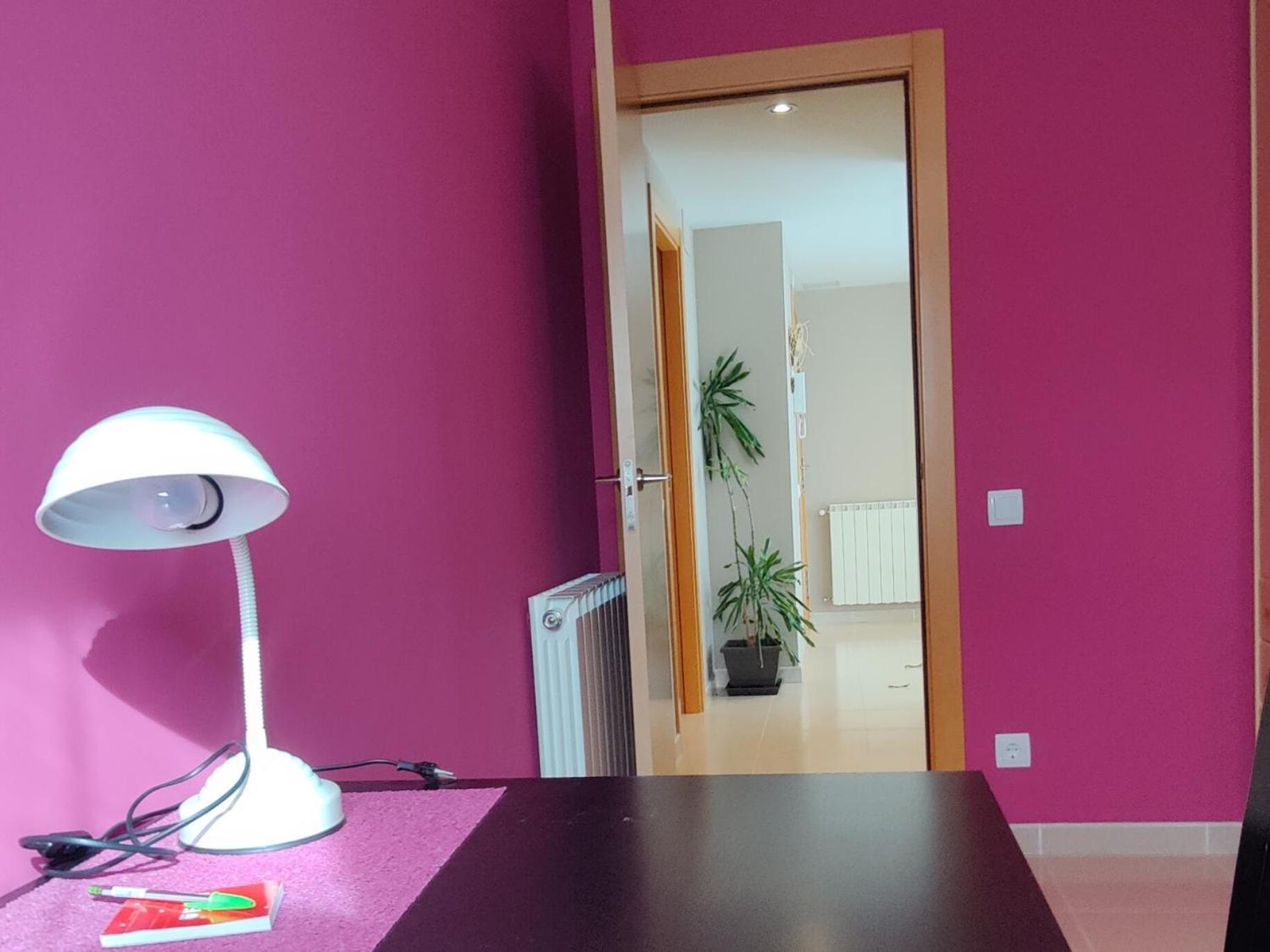 Ca L'Esmolet Apartment Tremp Ngoại thất bức ảnh